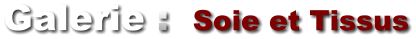 Galerie :  Soie et Tissus