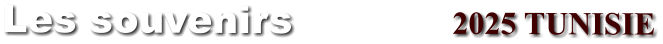 Les souvenirs                    2025 TUNISIE